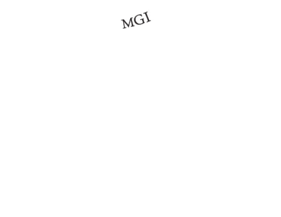 MGI Logo