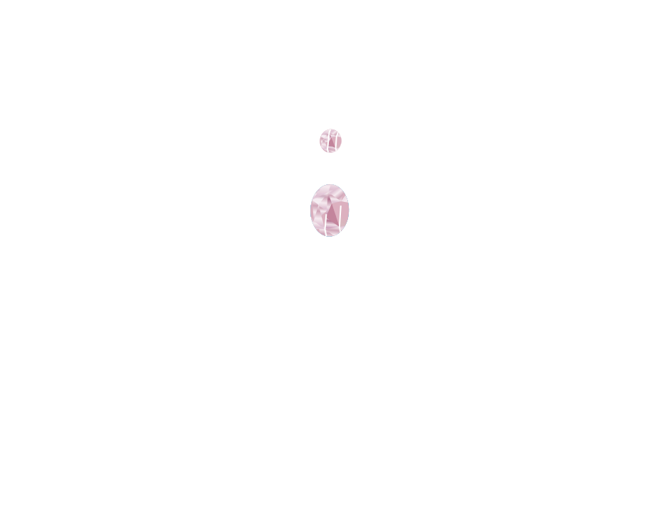 NangNgam Logo